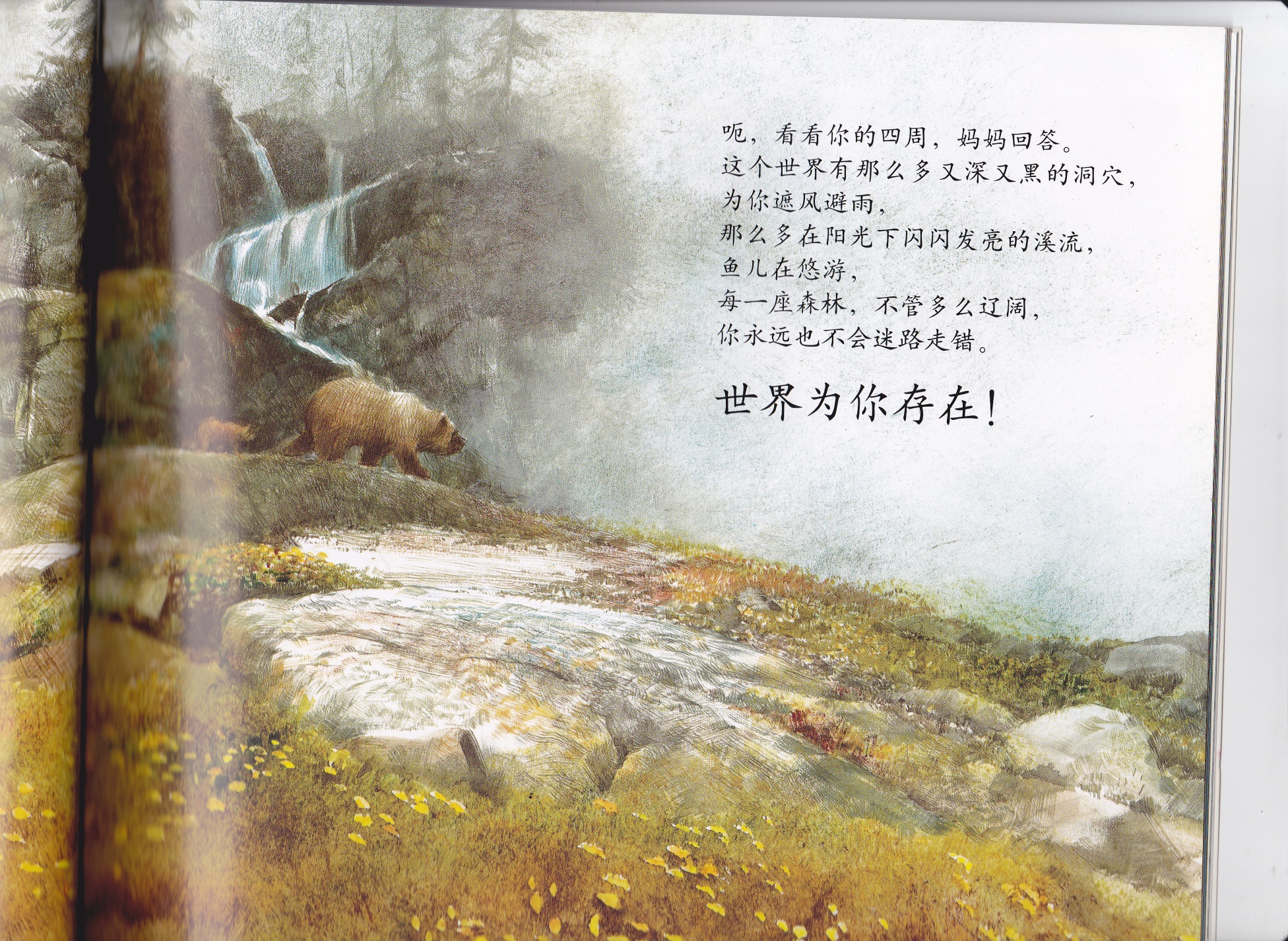 世界为谁存在 (07),绘本,绘本故事,绘本阅读,故事书,童书,图画书,课外阅读